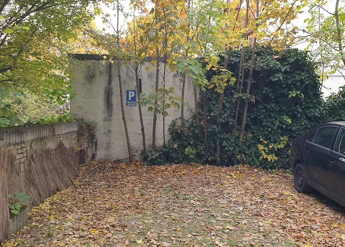 Rr - Spacious - Parking - شقة ماغديبورغ